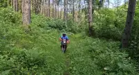 Леденика — 7